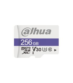 Memoria MicroSD DAHUA TF-C100/256GB