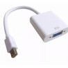 ADAPTADOR MINI DISPLAYPORT A VGA